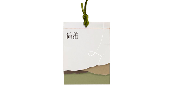 时尚女装品牌全案策划与vi设计